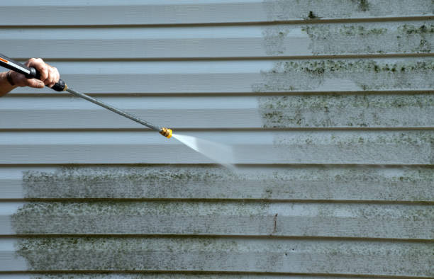 Best Building Exterior Washing  in Hebbronville, TX